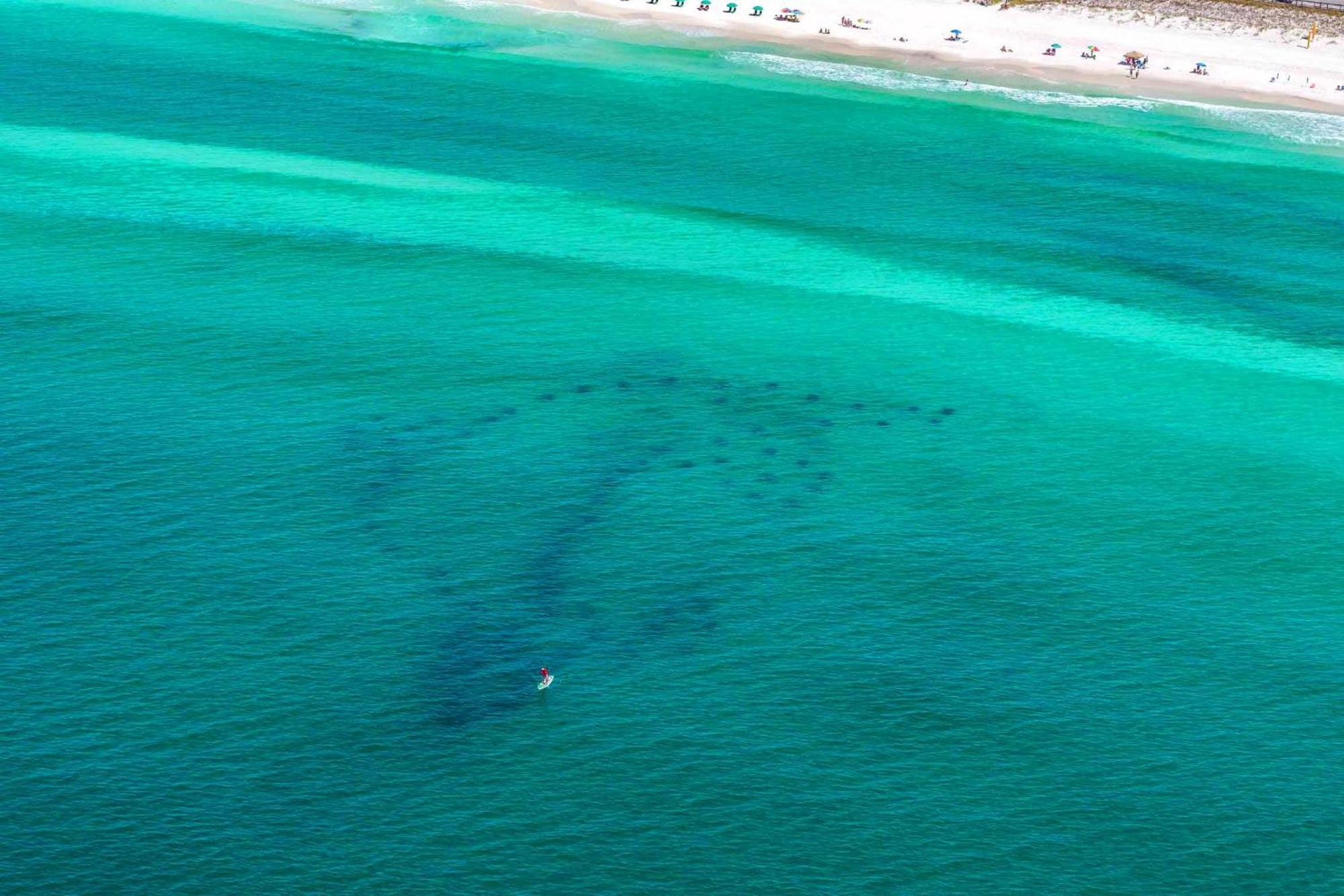 Beach Resort 406 Destin Esterno foto